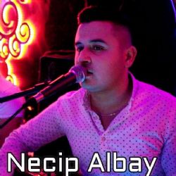 Necip Albay&nbsp;Takvim Yaprağı