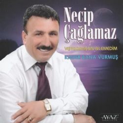 Necip Çağlamaz&nbsp;Vefasızmışsın Bilemedim