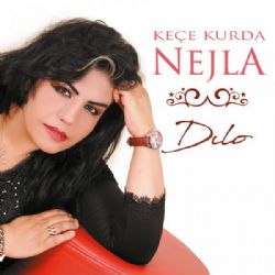 Nejla&nbsp;Dılo