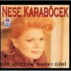 Neşe Karaböcek&nbsp;Bir Hüzzam Şarkı Gibi