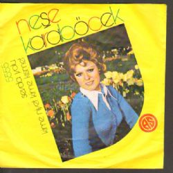 Neşe Karaböcek&nbsp;Sevda Yolu