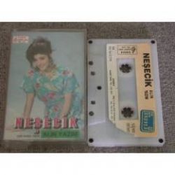 Neşecik&nbsp;Kara Tren