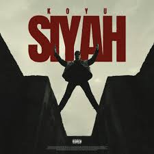 No 1&nbsp;Koyu Siyah Gibi