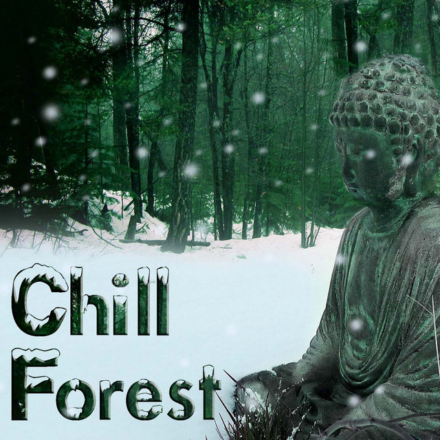 Nür Tür&nbsp;Chill Forest