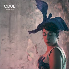 Ödül&nbsp;Düşünecektin