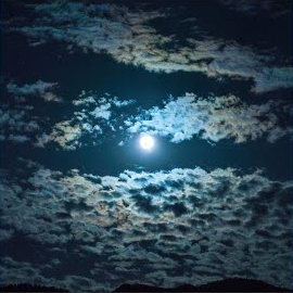 Ömer Arslan&nbsp;Oy Benim Canım