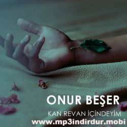Onur Beşer&nbsp;Kan Revan İçindeyim