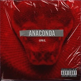 Owl&nbsp;Anaconda