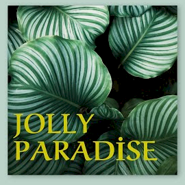 Ozan Aslan&nbsp;Jolly Paradise
