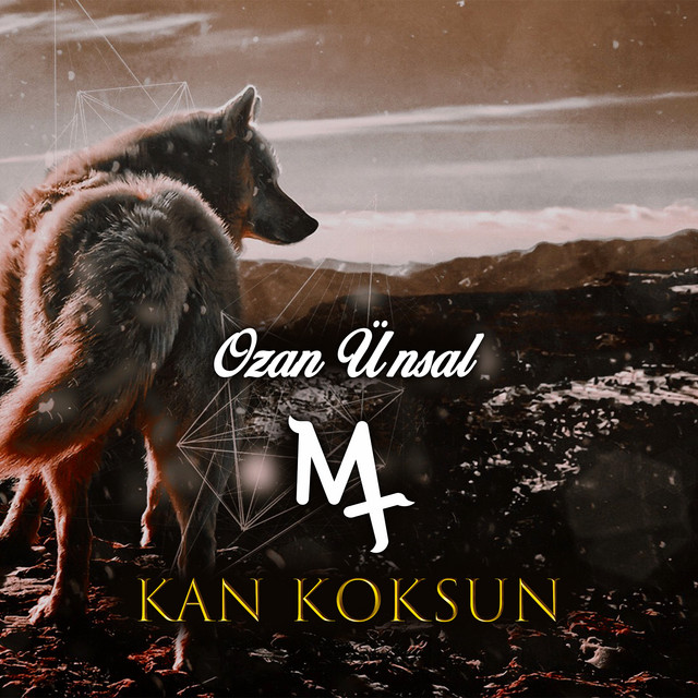 Ozan Ünsal&nbsp;Kan Kokusu