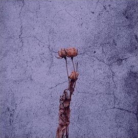 POYZ&nbsp;Dönüşü Yok