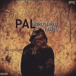 Pal&nbsp;Görüşürüz Güzel