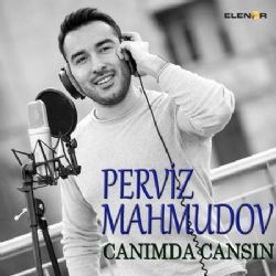 Perviz Mahmudov&nbsp;Canımda Cansın