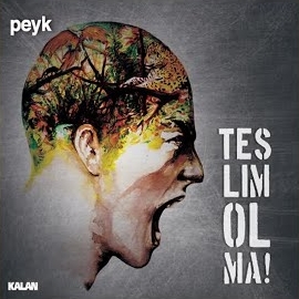 Peyk&nbsp;Teslim Olma