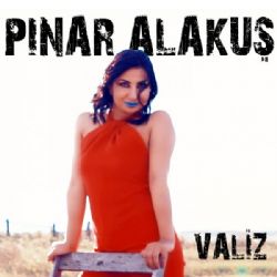 Pınar Alakuş&nbsp;Valiz