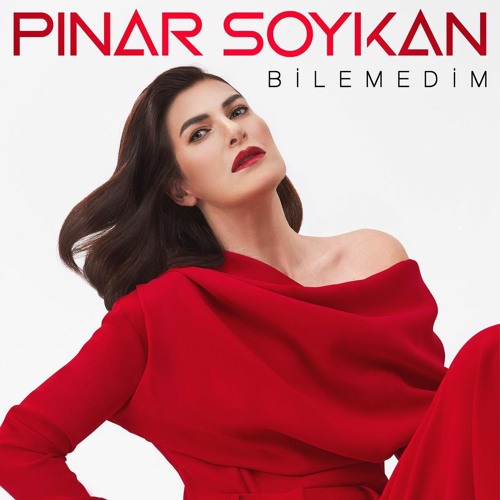 Pınar Soykan&nbsp;Bilemedim