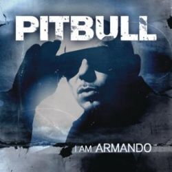 Pitbull&nbsp;Armando