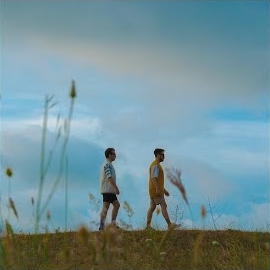 Polen&nbsp;Sönmüş Yıldızlar