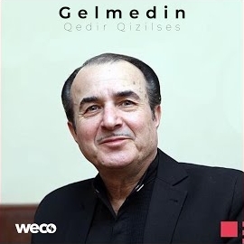 Qedir Qızılses&nbsp;Gelmedin
