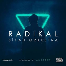 Radikal&nbsp;Siyah Orkestra