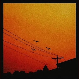 Rasyonel&nbsp;Yarınlara