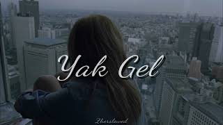 Rope&nbsp;Yak Gel