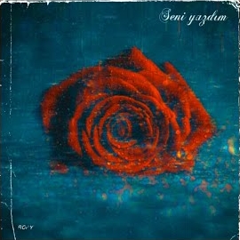 Ropy&nbsp;Seni Yazdım