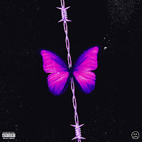 Rydeer38&nbsp;Metanet