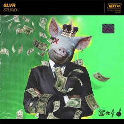 SLVR&nbsp;Stupid