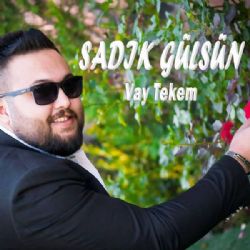 Sadık Gülsün&nbsp;Vay Tekem