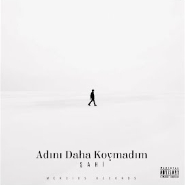 Sahi&nbsp;Adını Daha Koymadım