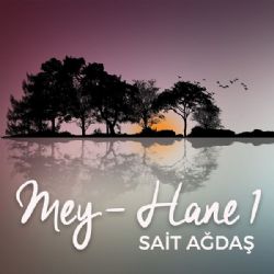 Sait Ağdaş&nbsp;Mey Hane Vol 1