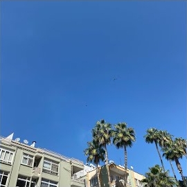 Salman Tin&nbsp;Hatırla