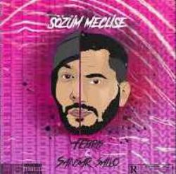 Sansar Salvo&nbsp;Sözüm Meclise