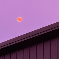 Sasta&nbsp;For The Record