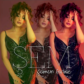 Şebnem Gürbüz&nbsp;Şem