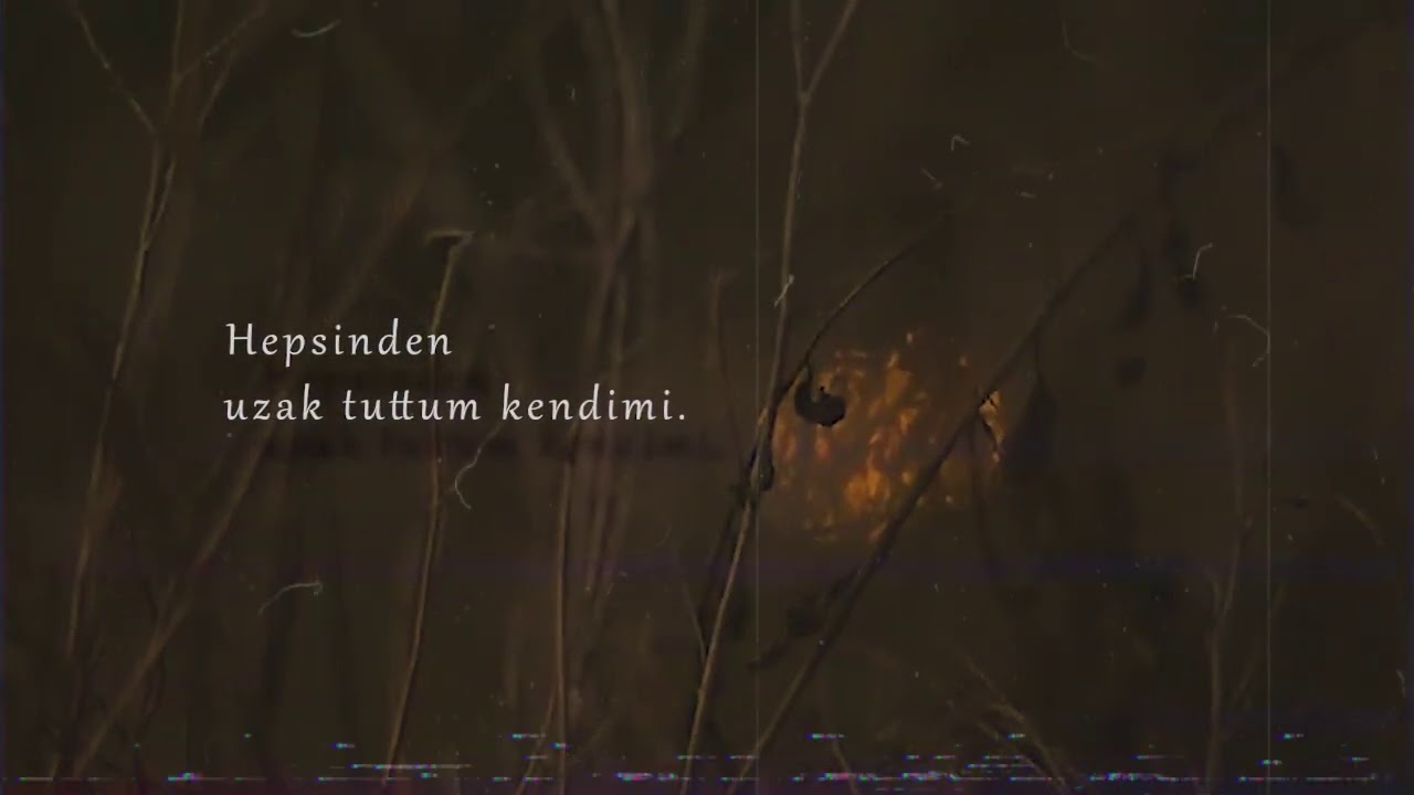 Şekersiz&nbsp;Uzak Tuttum Kendimi