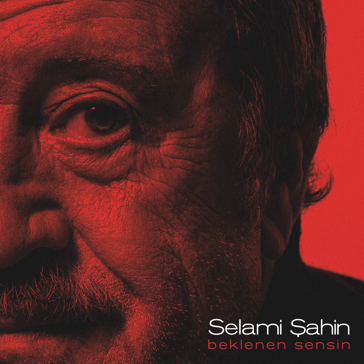 Selami Şahin&nbsp;Beklenen Sensin