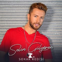 Selim Gülgören&nbsp;Sokak Kedisi