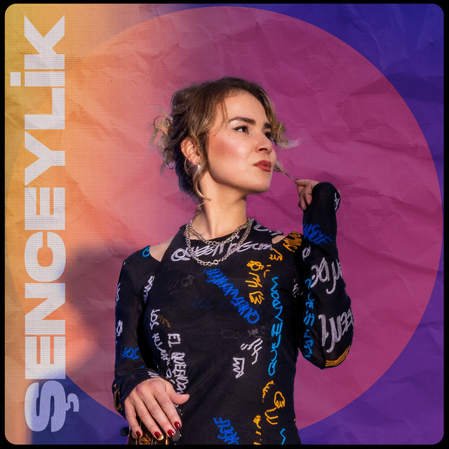 Şenceylik&nbsp;Eteğimdeki Taşlar