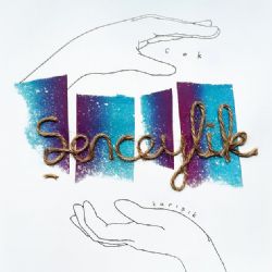 Şenceylik&nbsp;Tek Seferde