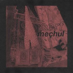 Serf&nbsp;Meçhul