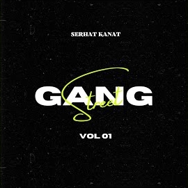 Serhat Kanat&nbsp;Gang Street