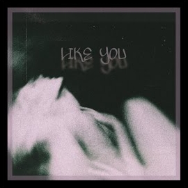 Serhat Kanat&nbsp;Like You