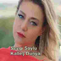 Sevgi Soylu&nbsp;Kalleş Dünya