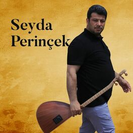 Seyda Perinçek&nbsp;Seyda Perinçek