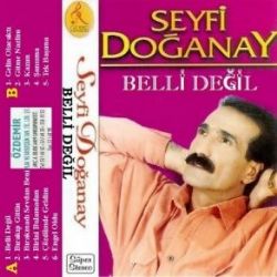 Seyfi Doğanay&nbsp;Belli Değil