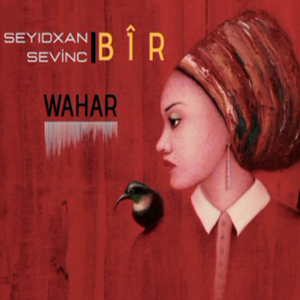 Seyidxan Sevinç&nbsp;Wahar