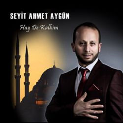 Seyit Ahmet Aygün&nbsp;Hay De Kalbim