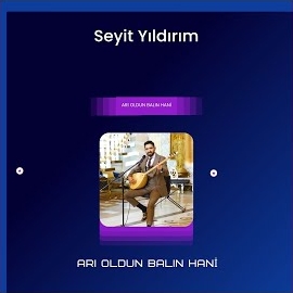 Seyit Yıldırım&nbsp;Arı Oldun Balın Hani